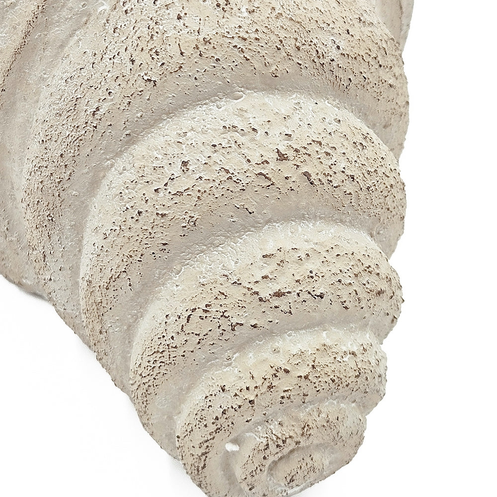 11.5x7x7' Sand and Cement Nautilus Shell Planter with Textured Beige Finish, view 7