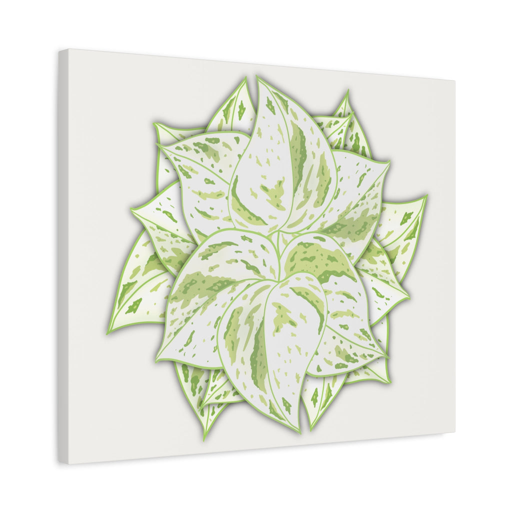 Snow Queen Pothos Canvas Print – Botanical Wall Art