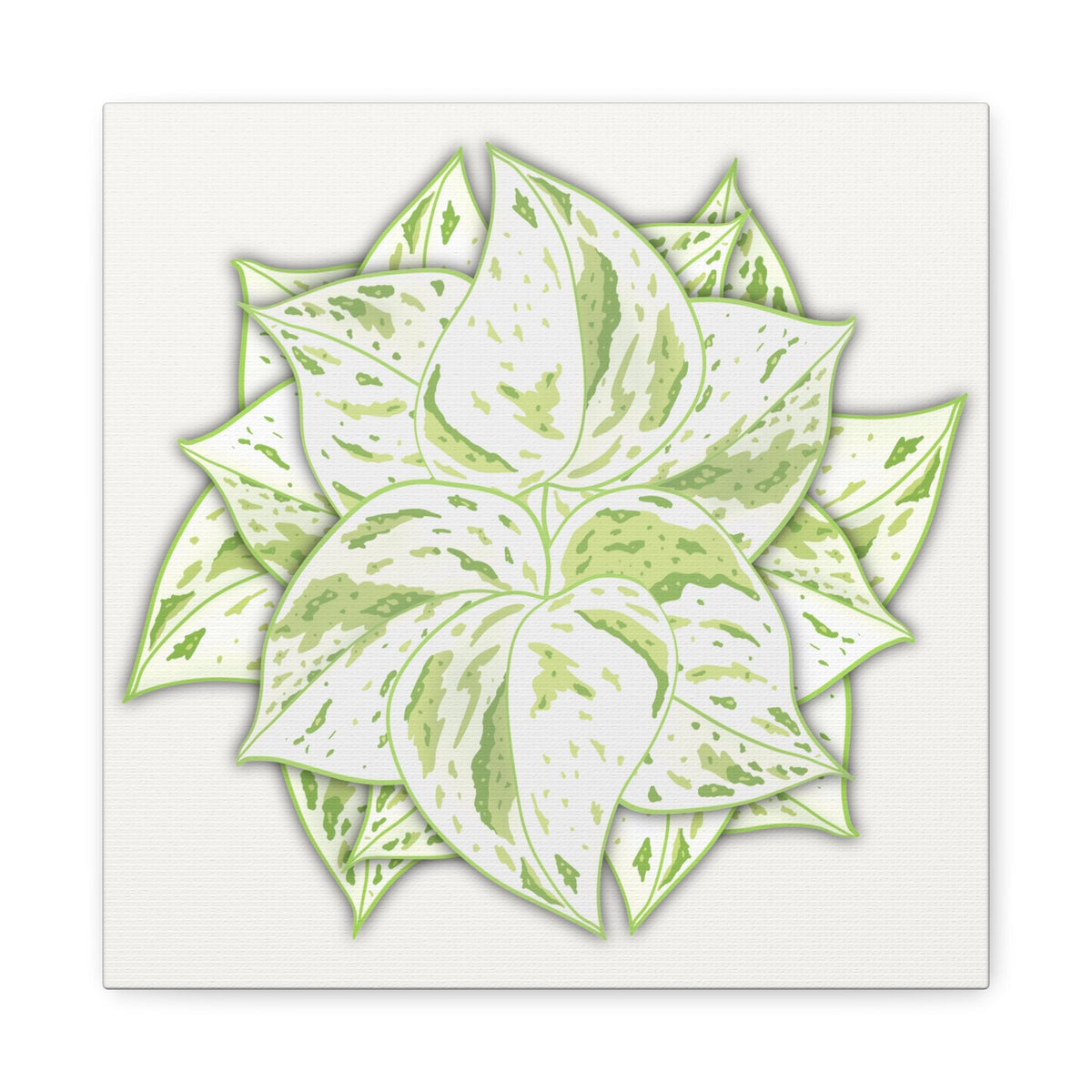 Snow Queen Pothos Canvas Print – Botanical Wall Art