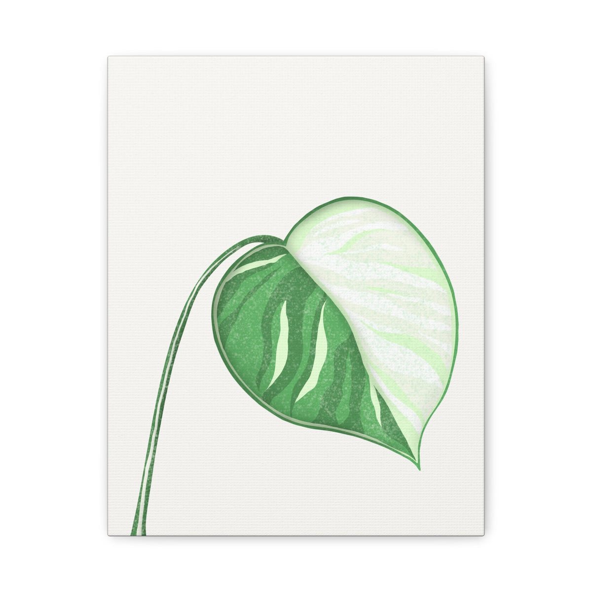 Monstera Albo Canvas Print – Botanical Wall Art, view 9