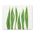 Snake Plant Canvas Print – Botanical Wall Art