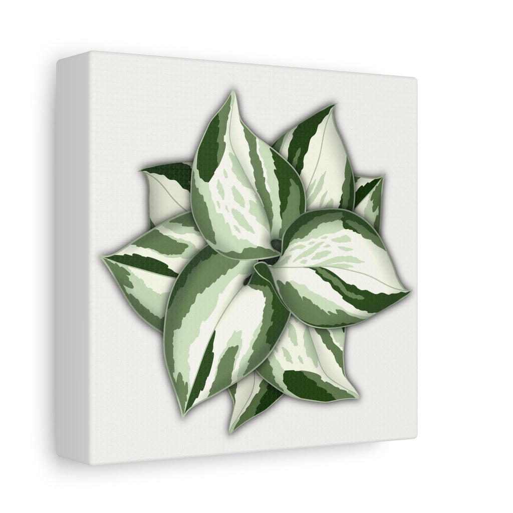 Manjula Pothos Canvas Print – Botanical Wall Art