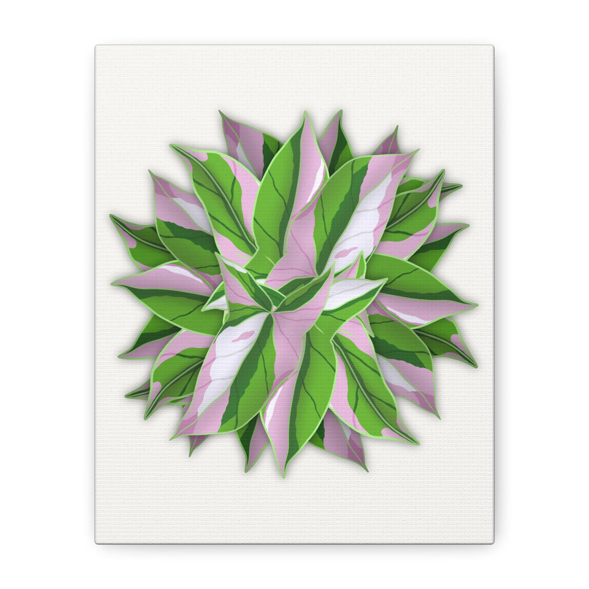 Syngonium Tricolor Pattern Canvas Print – Botanical Wall Art, view 8