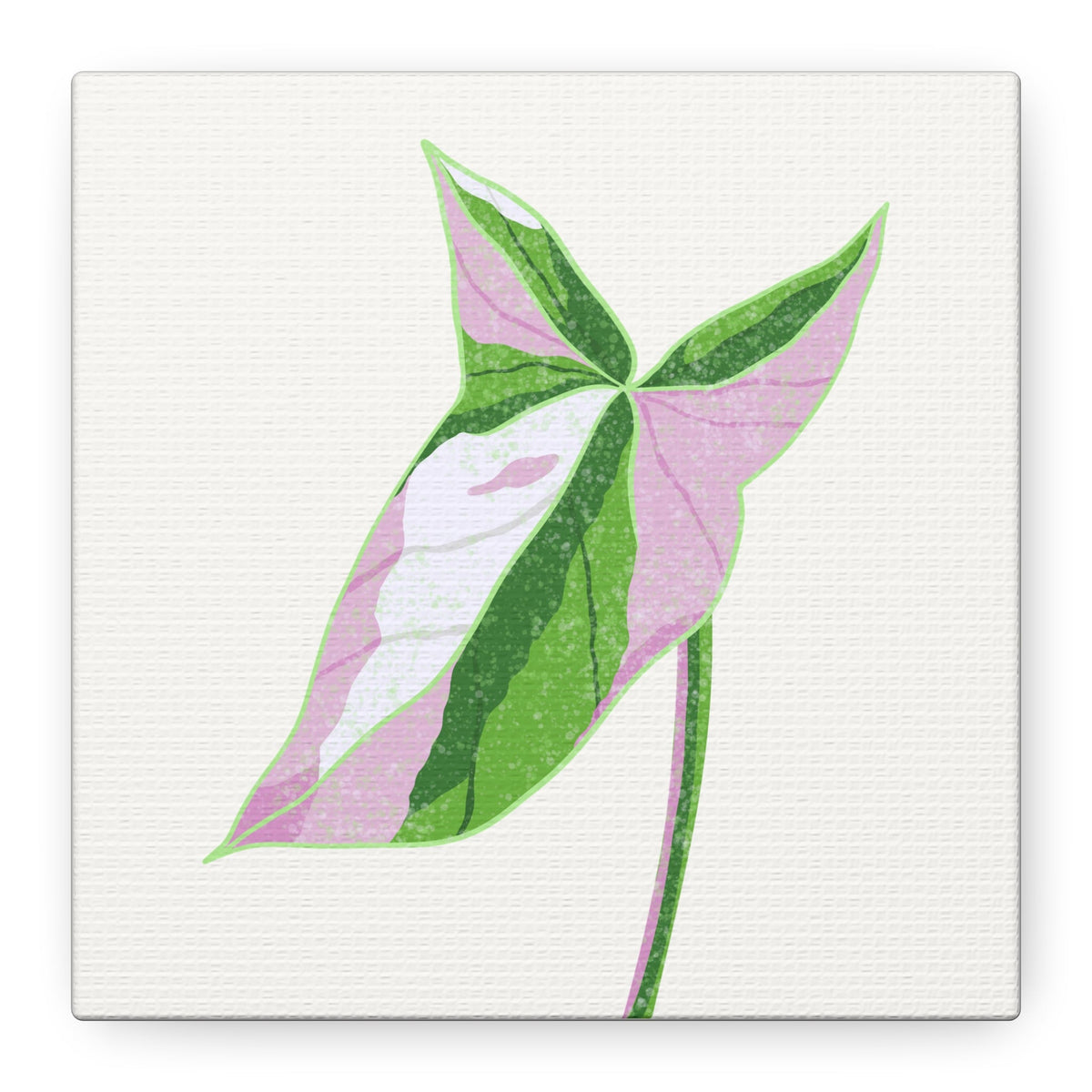 Syngonium Tricolor Canvas Print – Botanical Wall Art, view 15