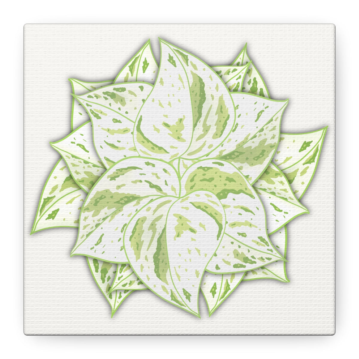 Snow Queen Pothos Canvas Print – Botanical Wall Art, view 15