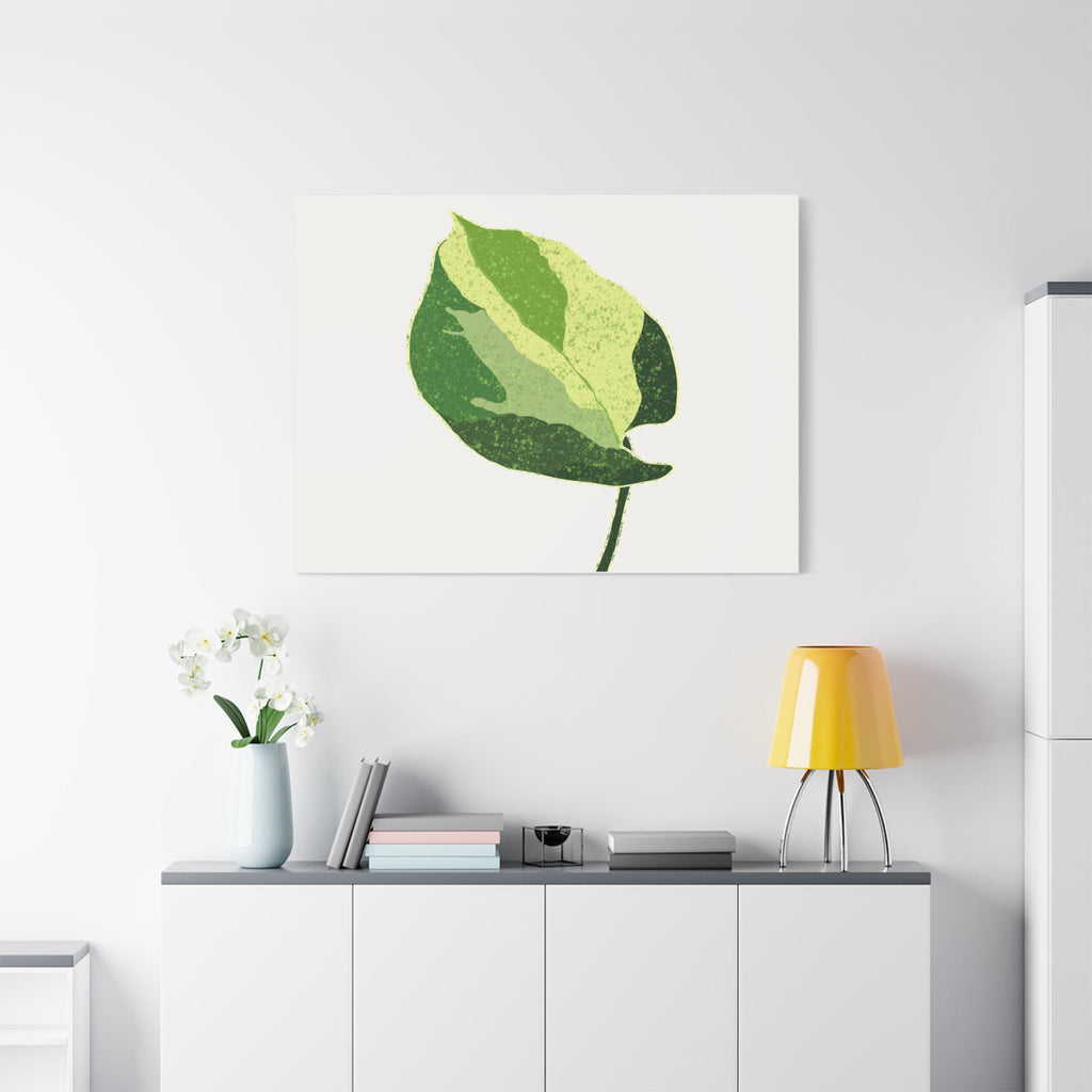 Manjula Pothos Illustrated Canvas Print – Botanical Wall Art