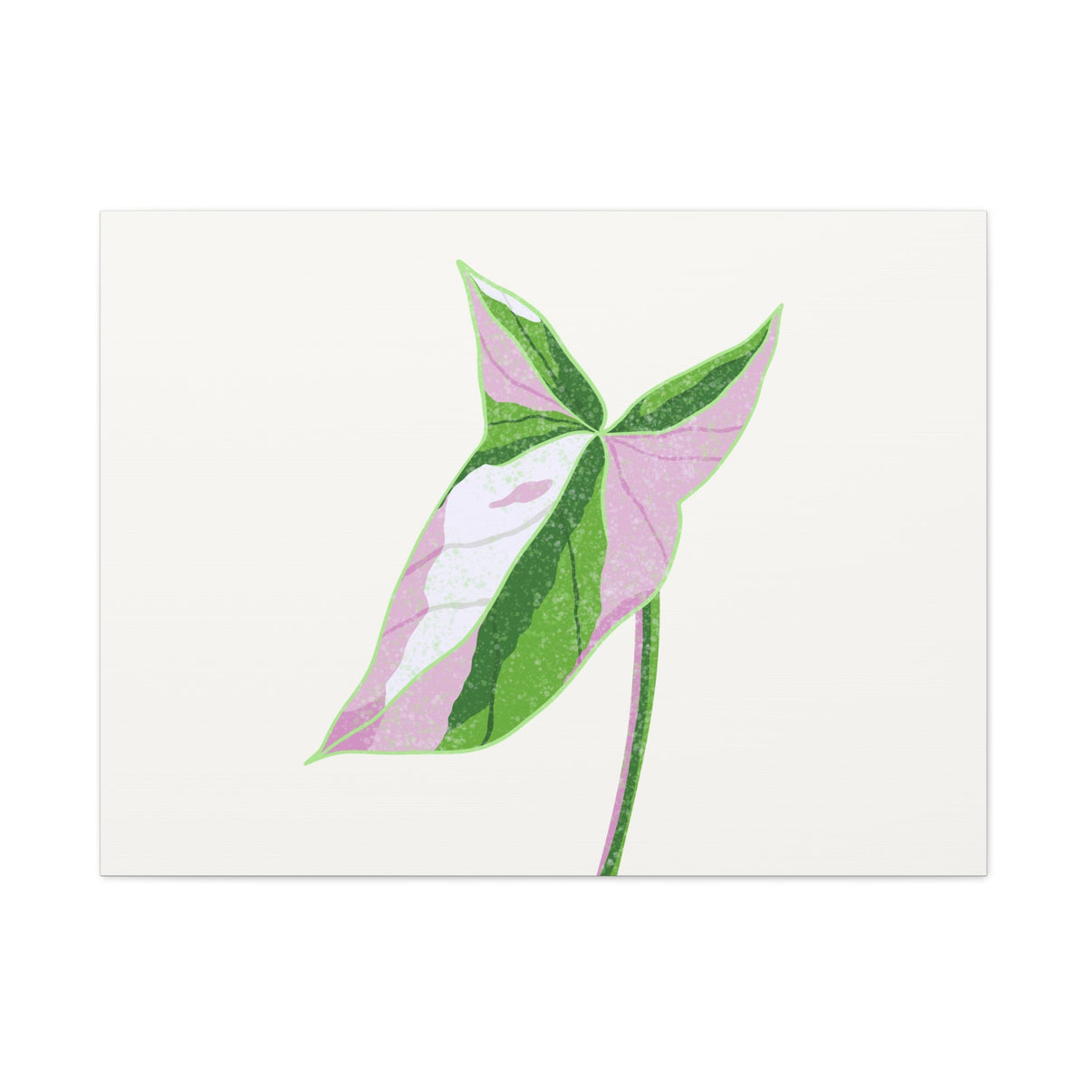 Syngonium Tricolor Canvas Print – Botanical Wall Art, view 6
