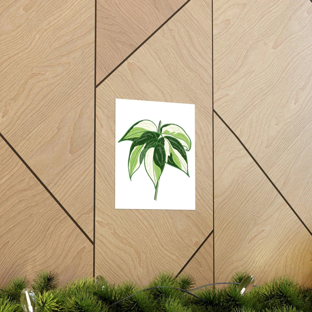 Philodendron Cream Splash Botanical Print – Unframed Wall Art, view 5