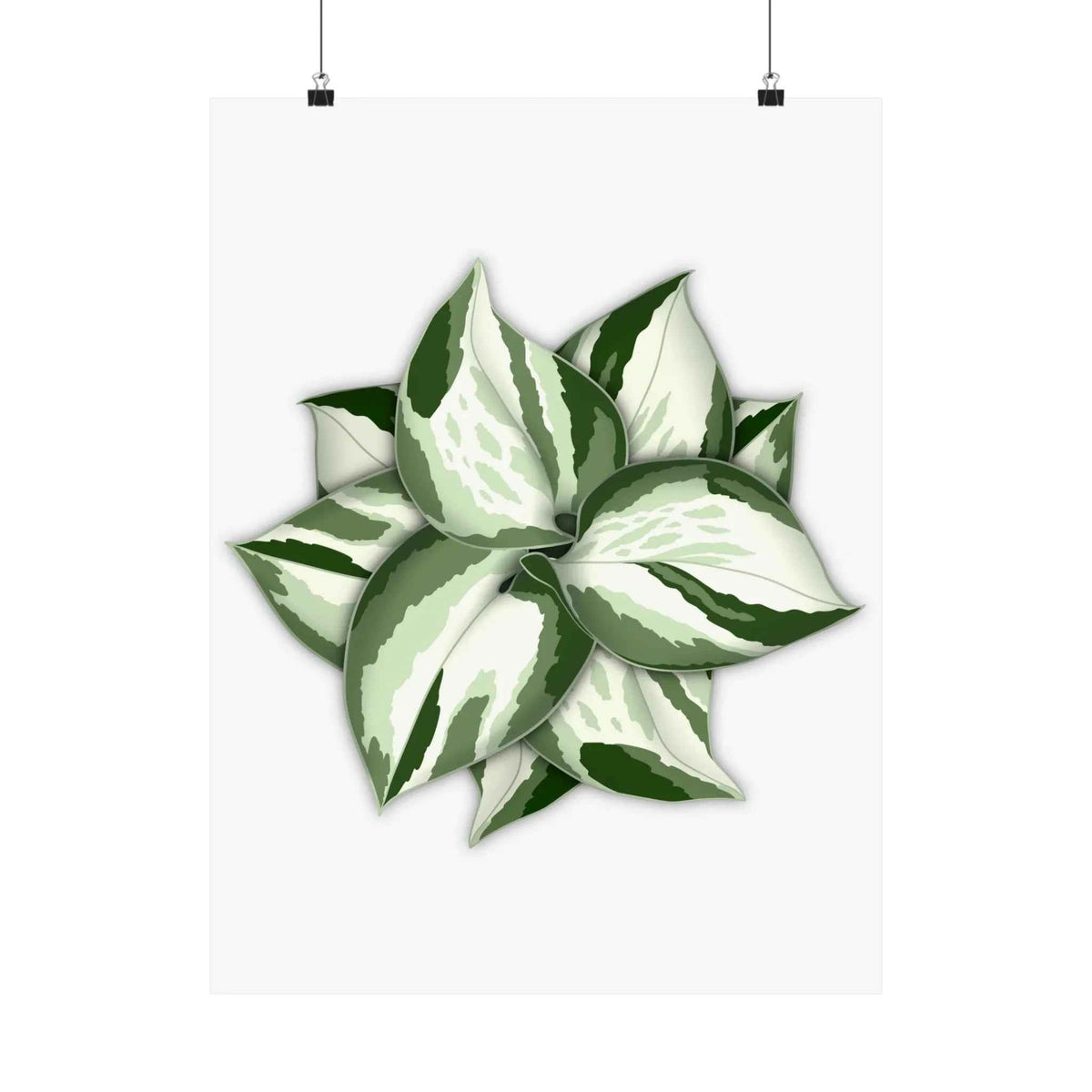 Manjula Pothos Botanical Print – Unframed Wall Art, view 5