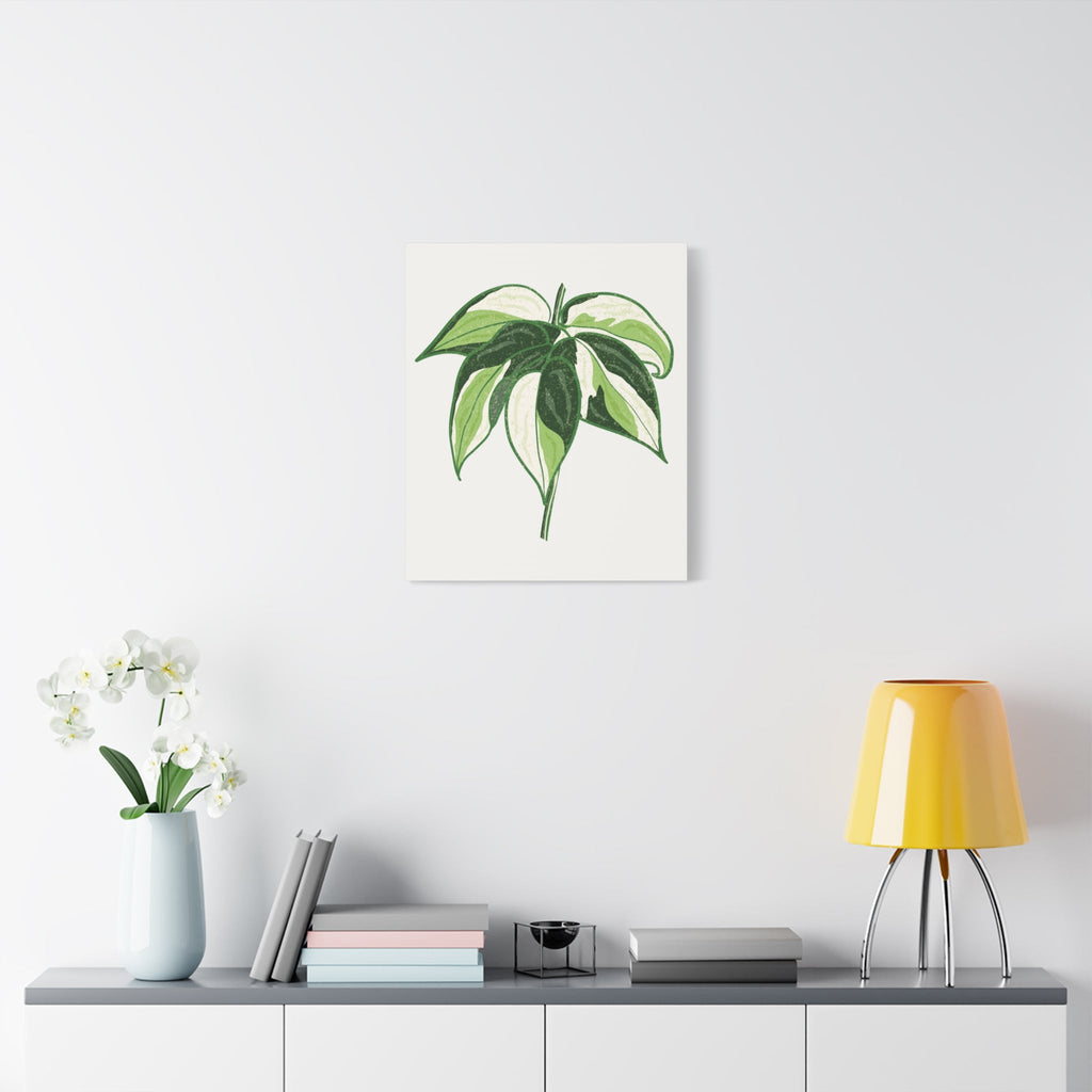 Philodendron Cream Splash Canvas Print – Botanical Wall Art