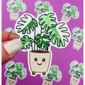 Variegated Monstera Plant Sticker, Rare Plant Sticker for Plant Lover, Rare Houseplant Sticker for Green