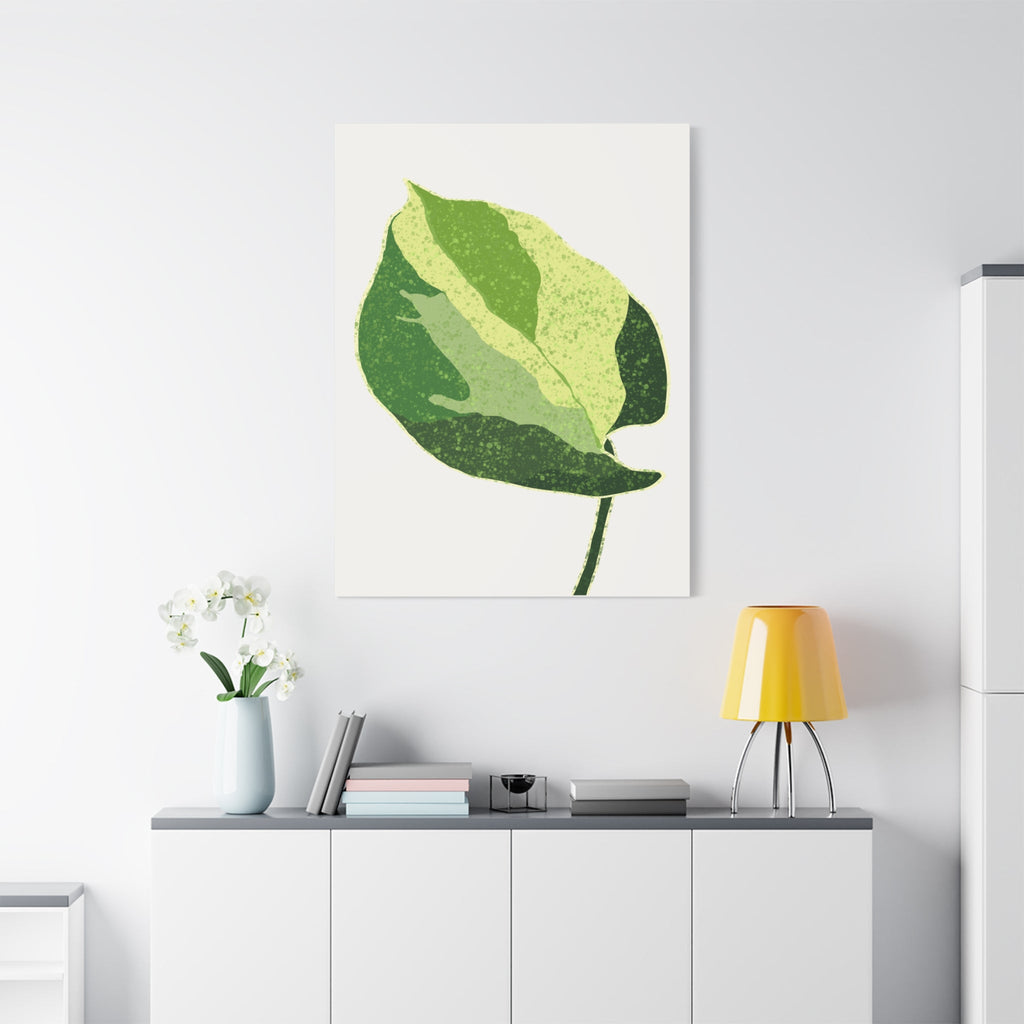 Manjula Pothos Illustrated Canvas Print – Botanical Wall Art