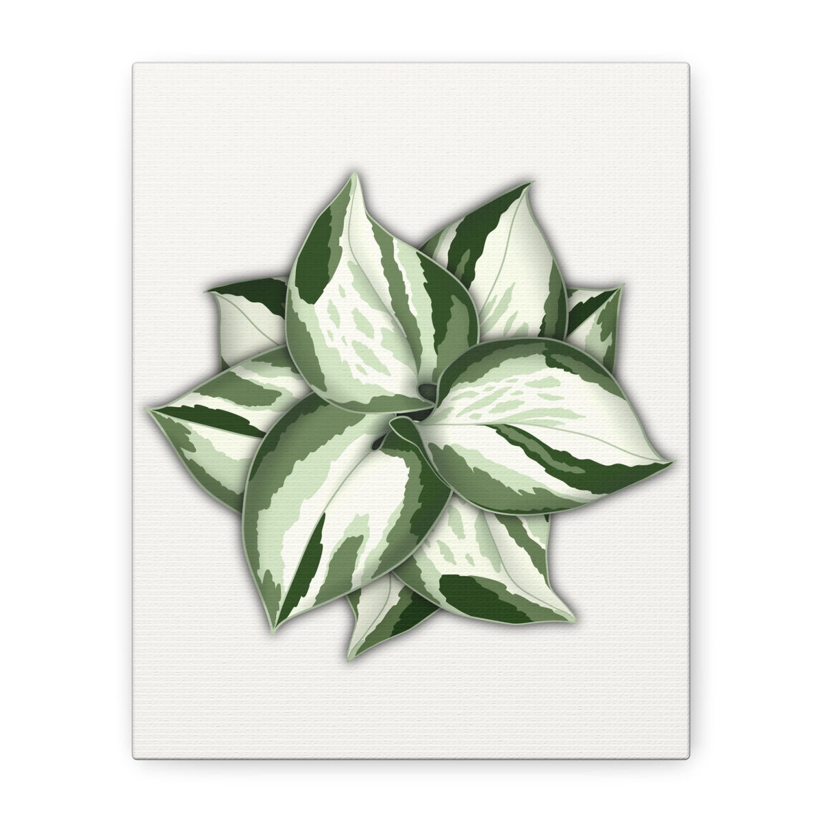 Manjula Pothos Canvas Print – Botanical Wall Art, view 8