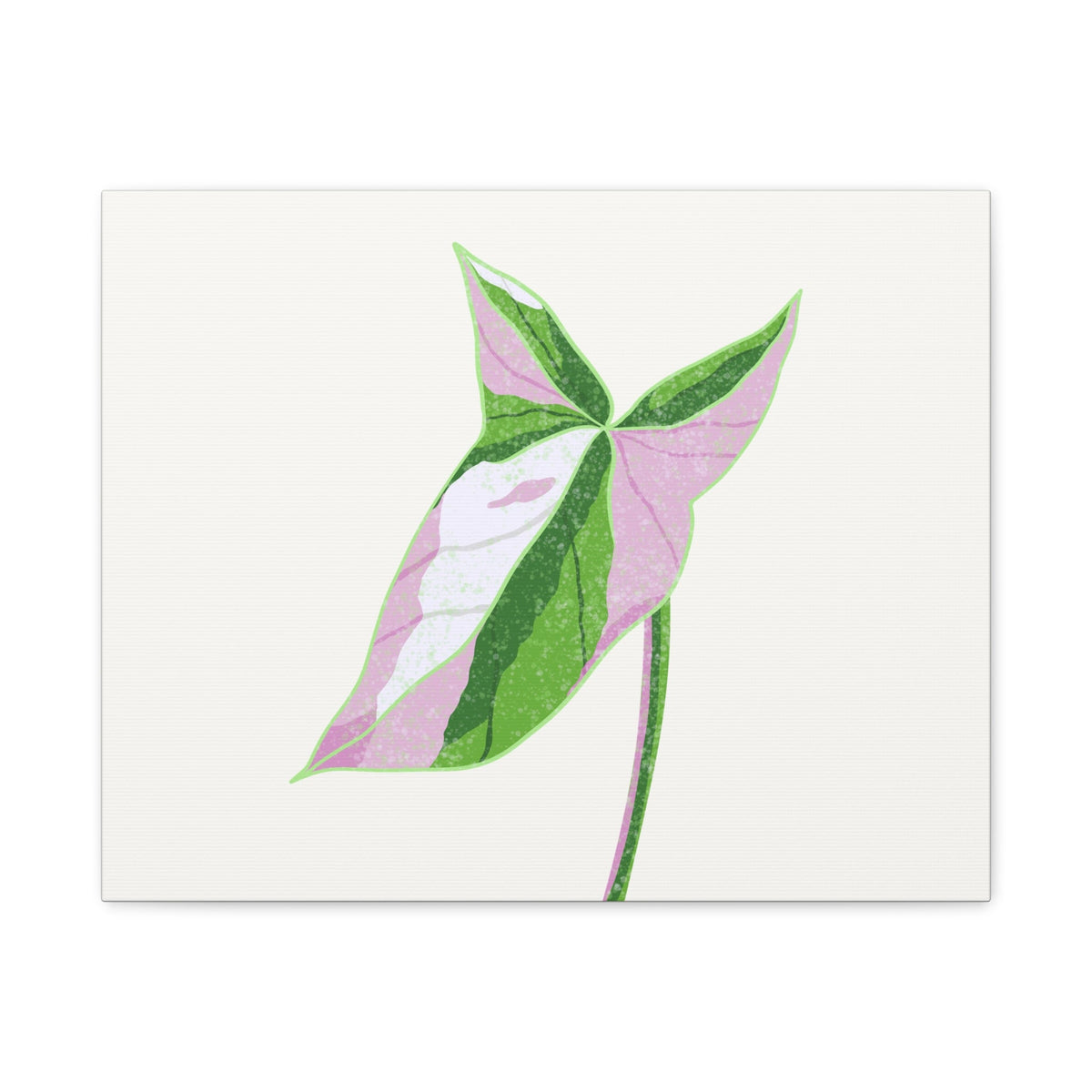 Syngonium Tricolor Canvas Print – Botanical Wall Art, view 3