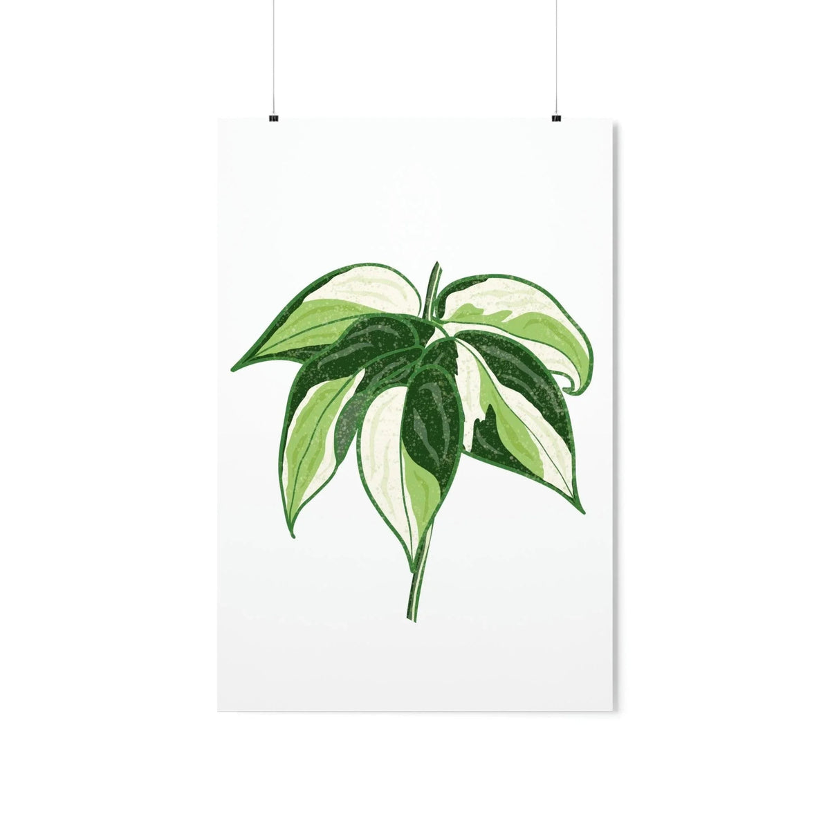 Philodendron Cream Splash Botanical Print – Unframed Wall Art