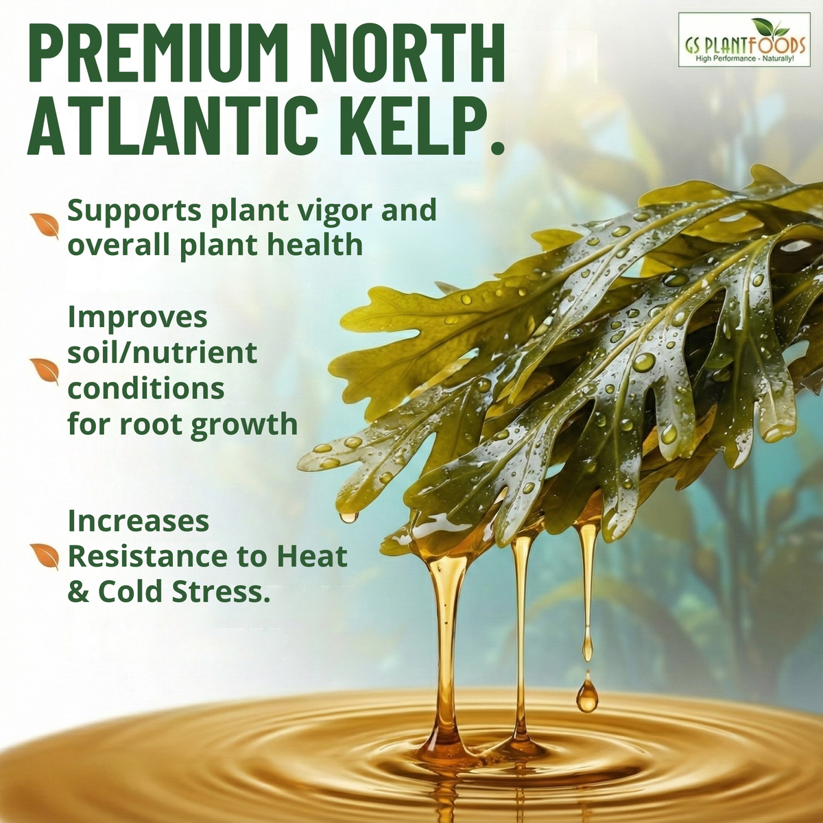 Organic Liquid Kelp Seaweed, view 2