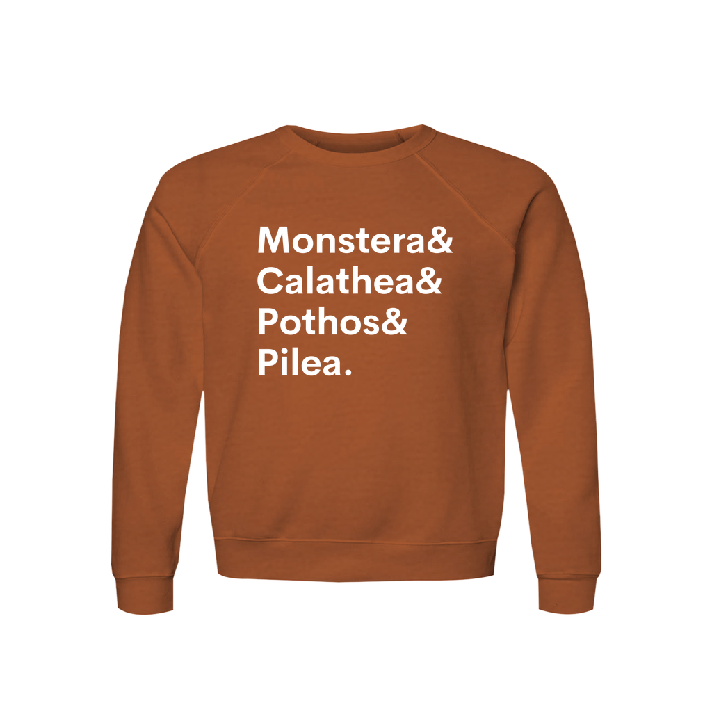 Monstera, Calathea, Pothos & Pilea Plant Lover Sweatshirt – Organic Cotton Raglan, view 3
