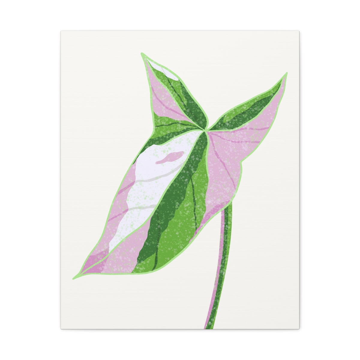 Syngonium Tricolor Canvas Print – Botanical Wall Art, view 12