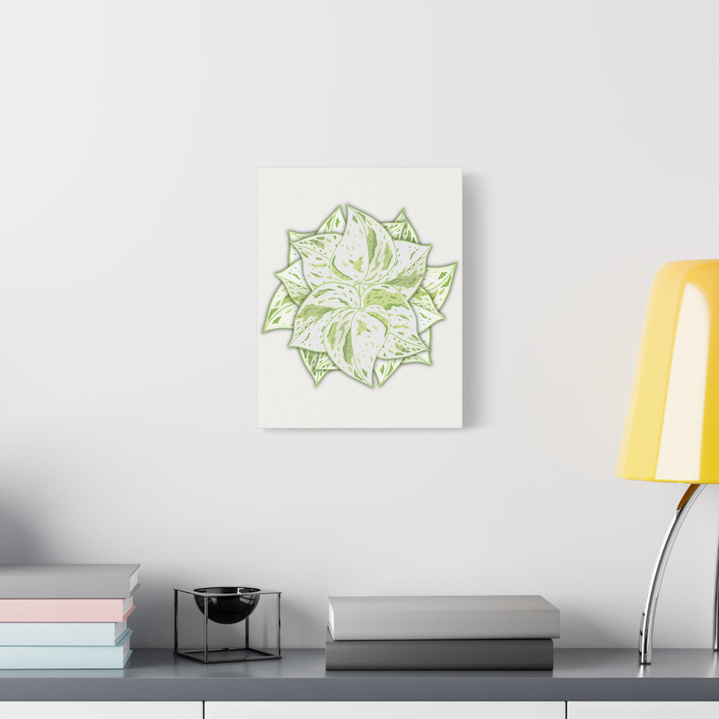 Snow Queen Pothos Canvas Print – Botanical Wall Art