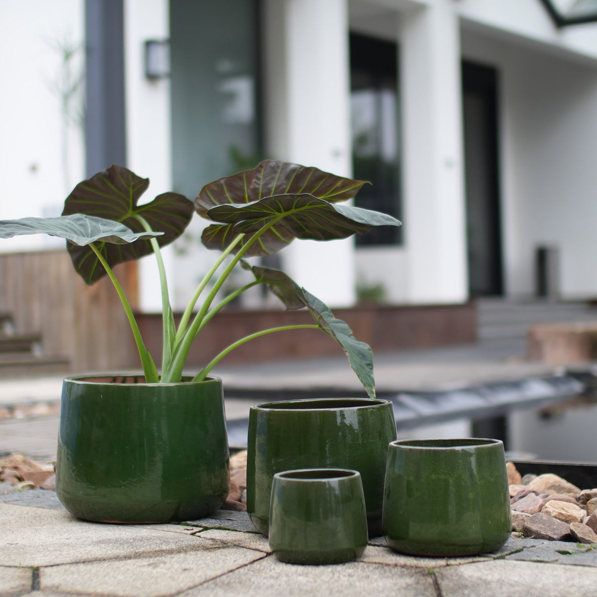 Handmade Solid Glazed Ceramic Planter Set of 4, view 2