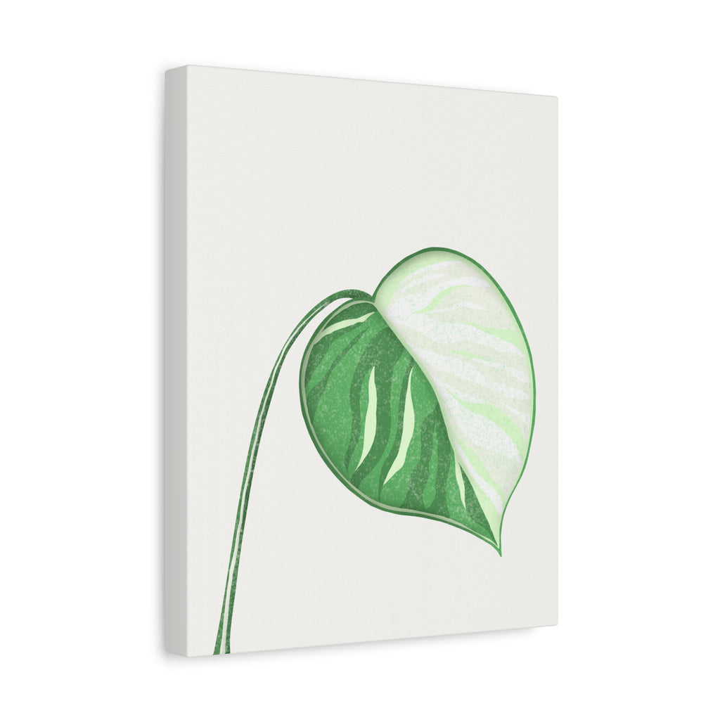 Monstera Albo Canvas Print – Botanical Wall Art