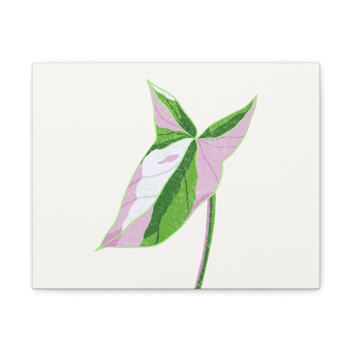 Syngonium Tricolor Canvas Print – Botanical Wall Art, view 2