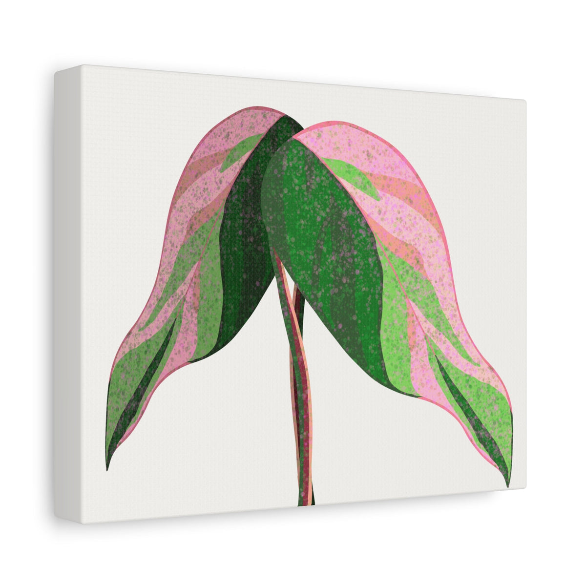 Pink Princess Philodendron Canvas Print – Botanical Wall Art, view 12