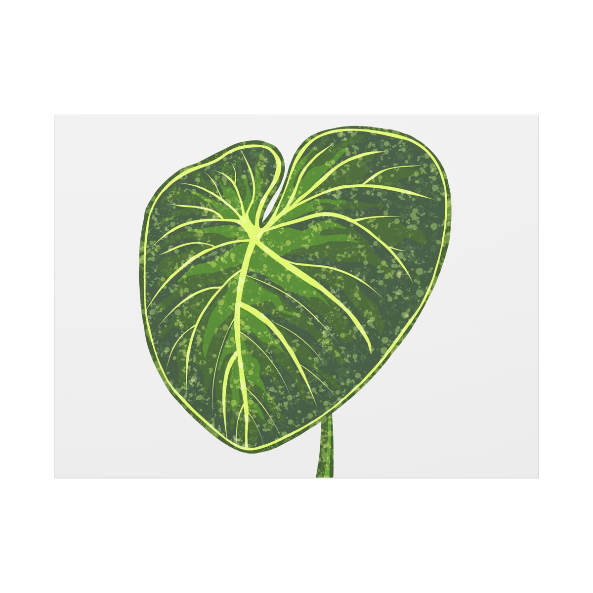 Philodendron Gloriosum Canvas Print – Botanical Wall Art, view 7