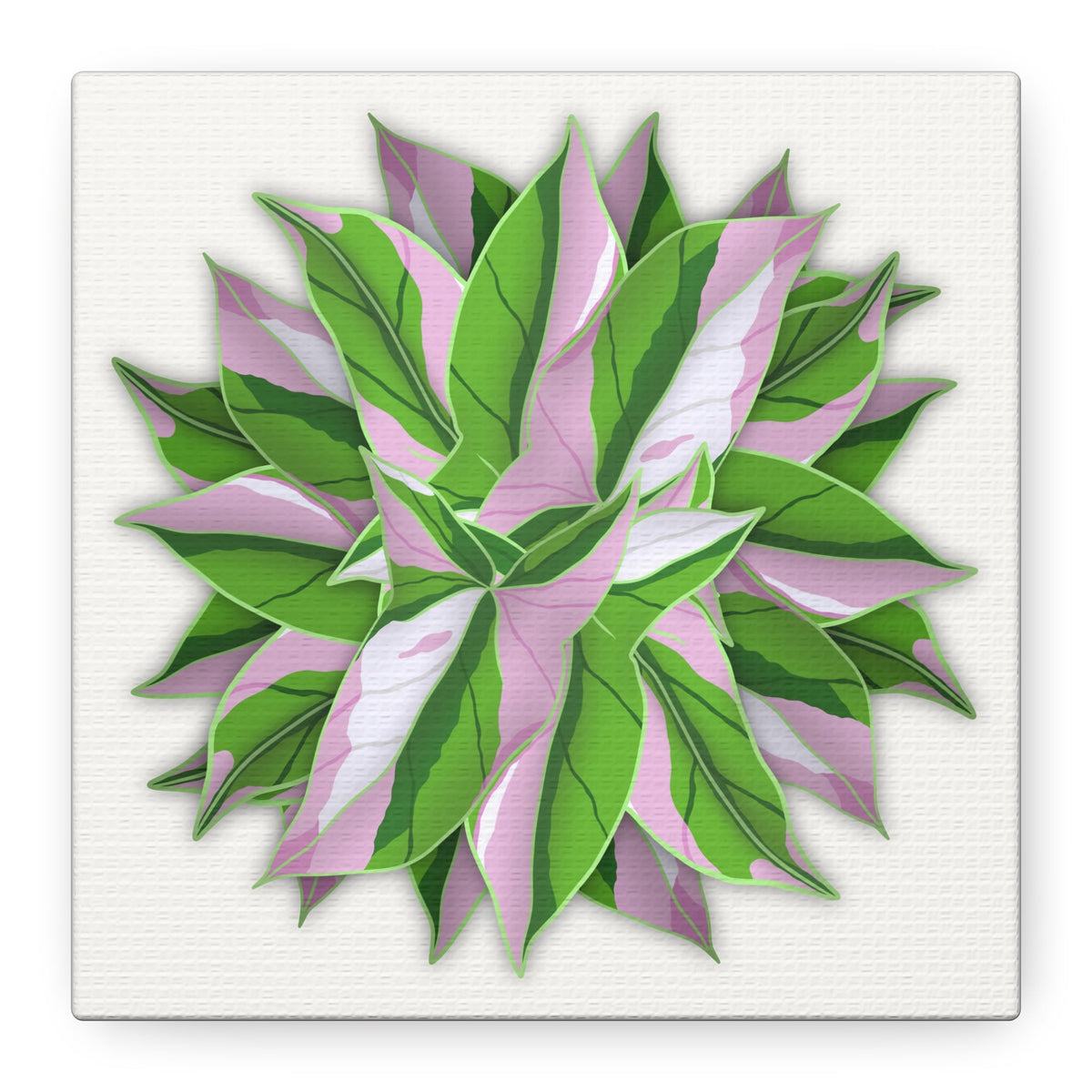 Syngonium Tricolor Pattern Canvas Print – Botanical Wall Art, view 15
