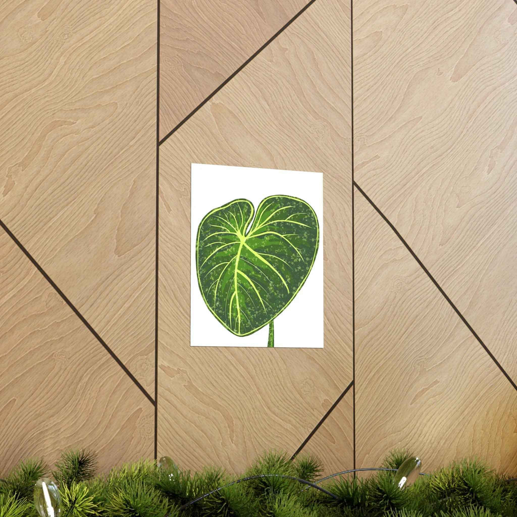Philodendron Gloriosum Botanical Print – Unframed Wall Art, view 13