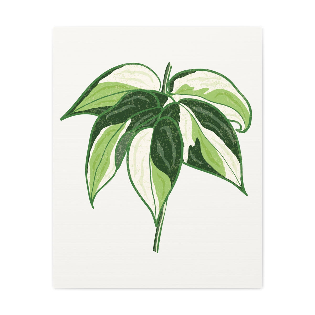 Philodendron Cream Splash Canvas Print – Botanical Wall Art, view 12