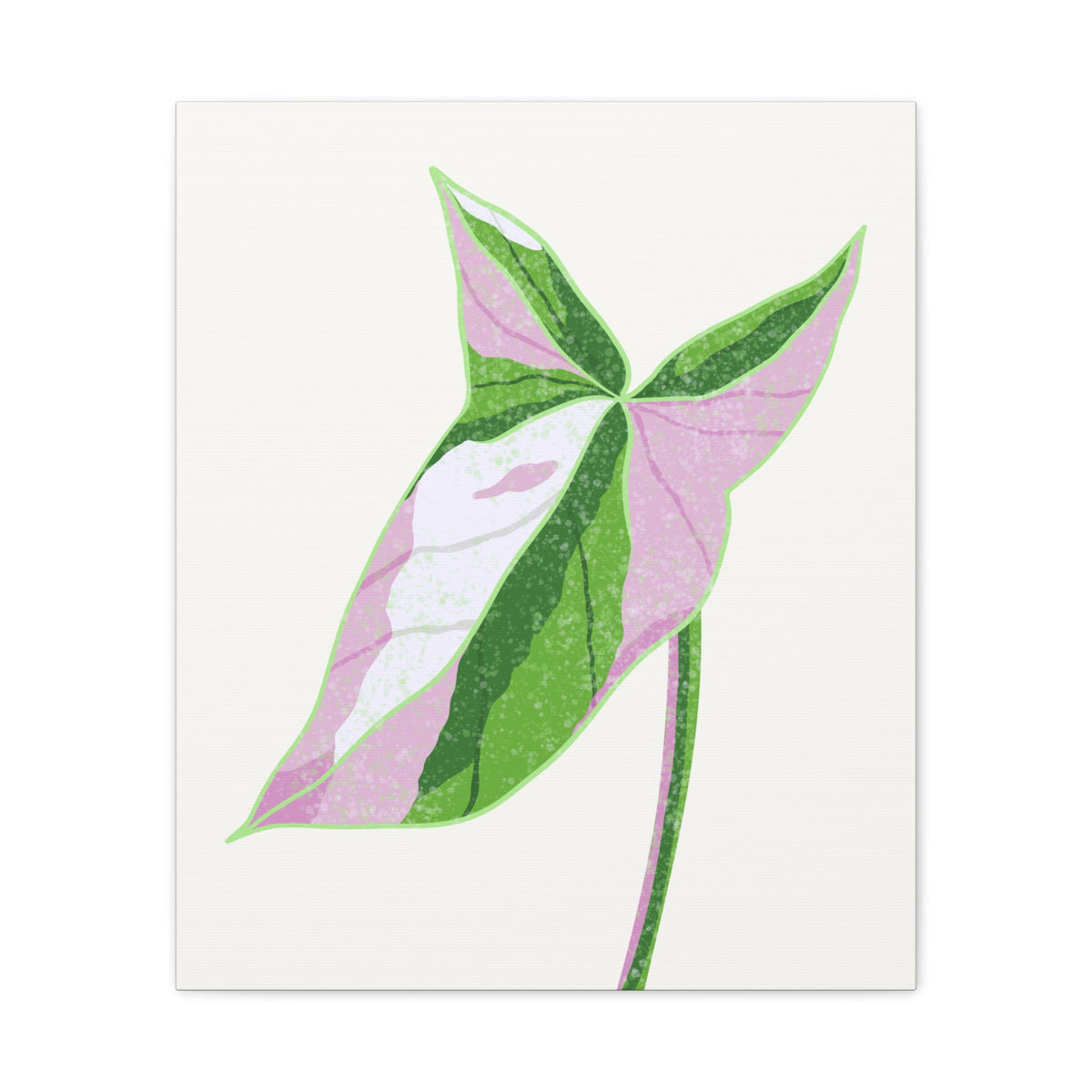 Syngonium Tricolor Canvas Print – Botanical Wall Art, view 11