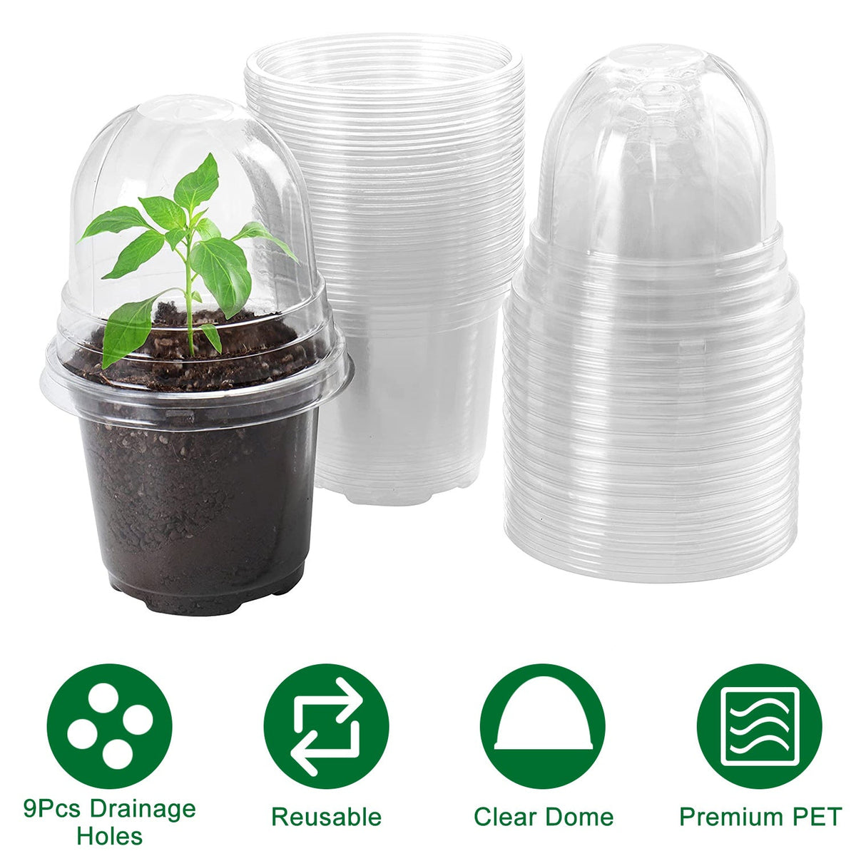 30Pcs Plant Nursery Pots PET Flower Seed Starting Pots Container with Dome with Drainage Holes, view 4