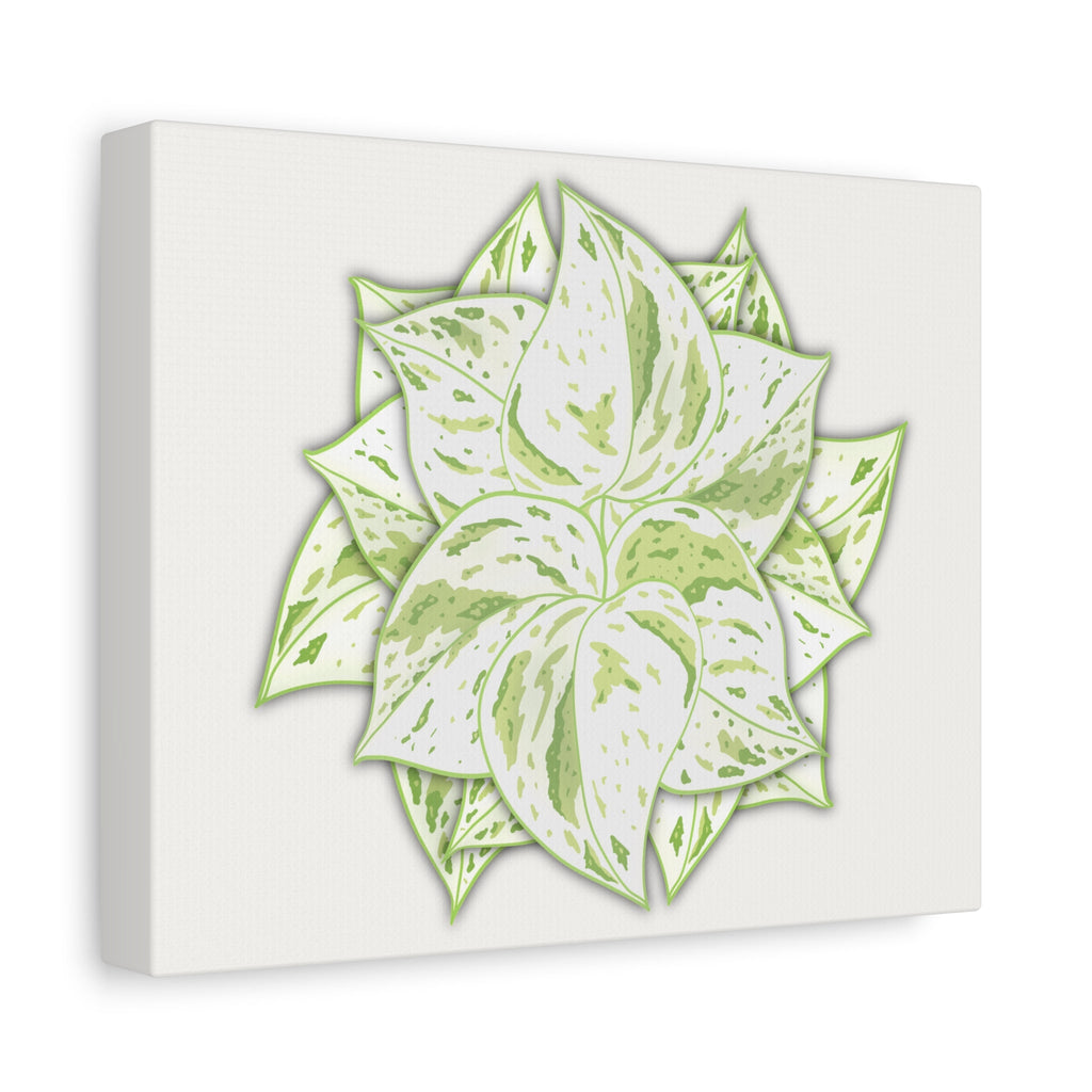 Snow Queen Pothos Canvas Print – Botanical Wall Art