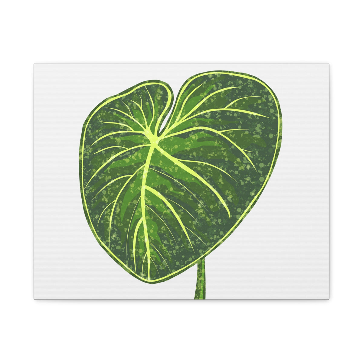 Philodendron Gloriosum Canvas Print – Botanical Wall Art, view 3