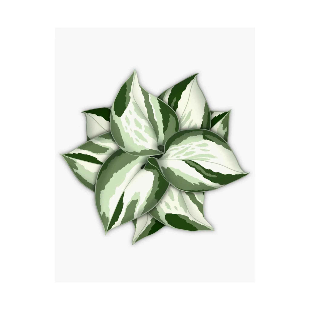 Manjula Pothos Botanical Print – Unframed Wall Art, view 14