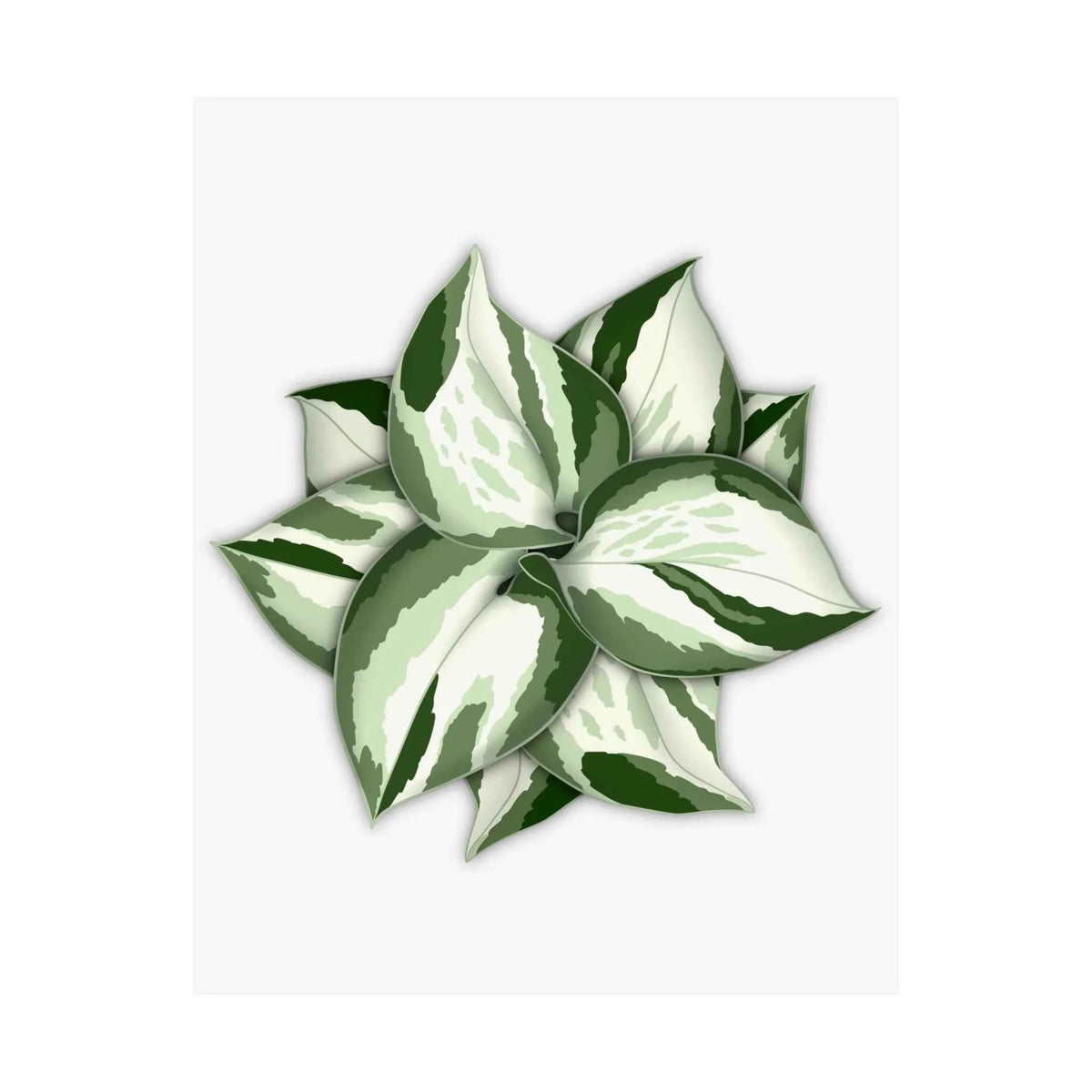 Manjula Pothos Botanical Print – Unframed Wall Art, view 14