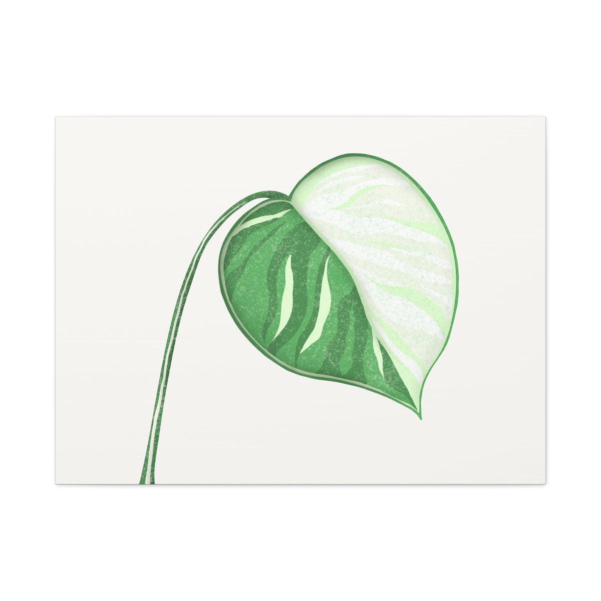 Monstera Albo Canvas Print – Botanical Wall Art, view 6