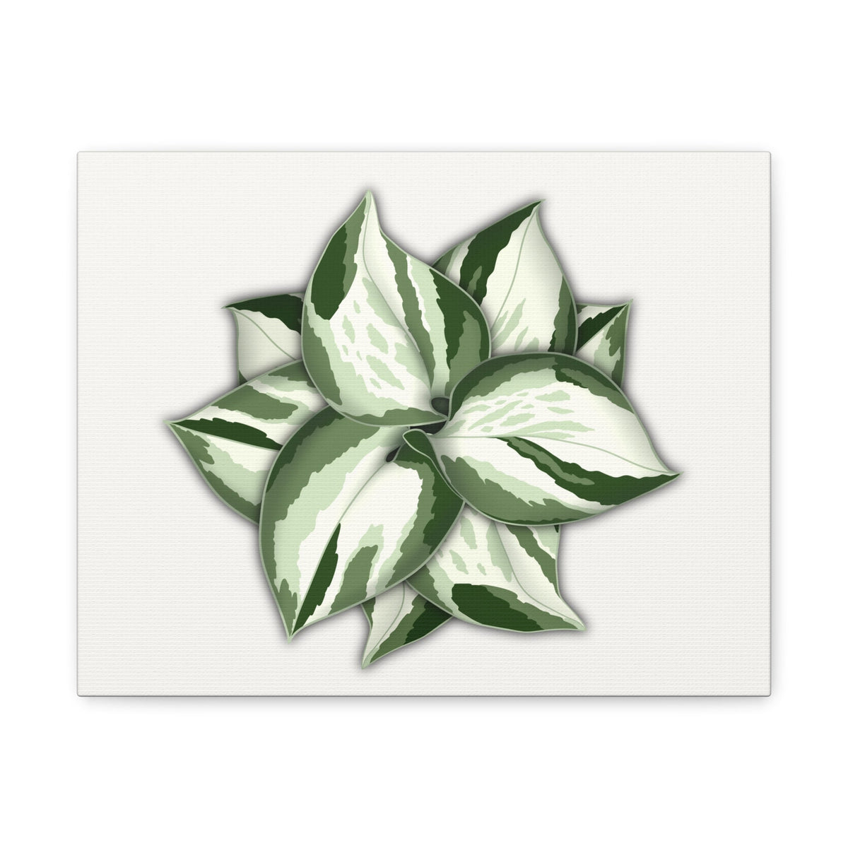Manjula Pothos Canvas Print – Botanical Wall Art, view 2