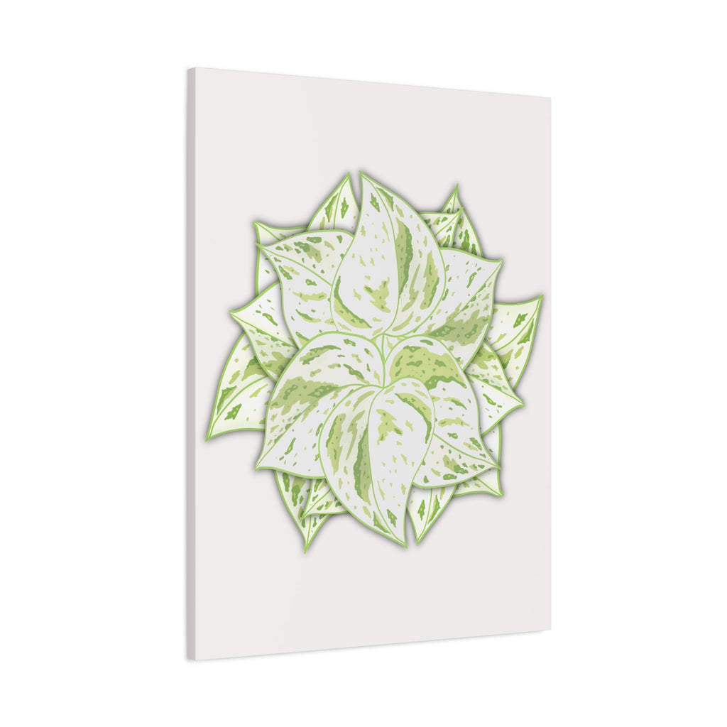 Snow Queen Pothos Canvas Print – Botanical Wall Art