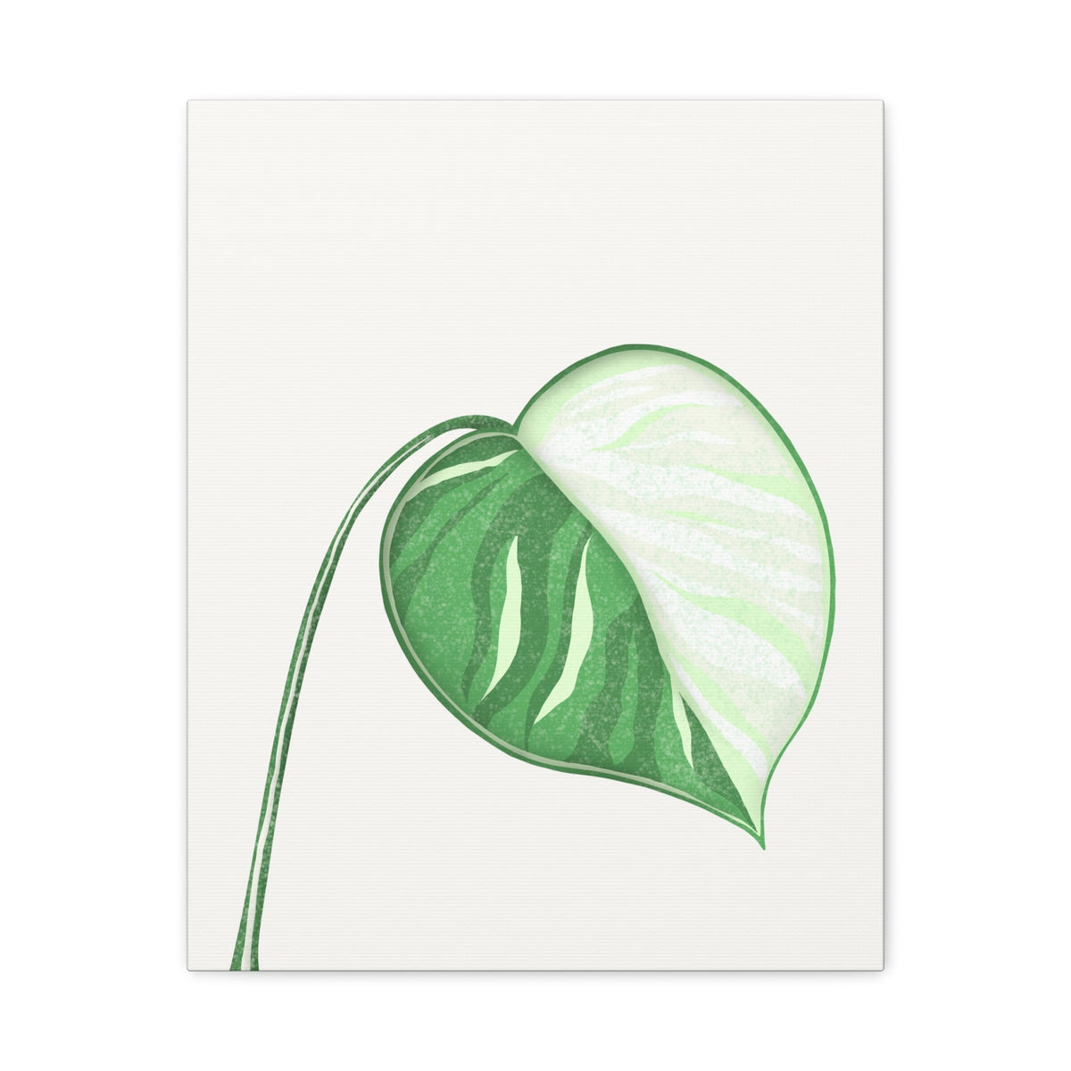 Monstera Albo Canvas Print – Botanical Wall Art, view 10