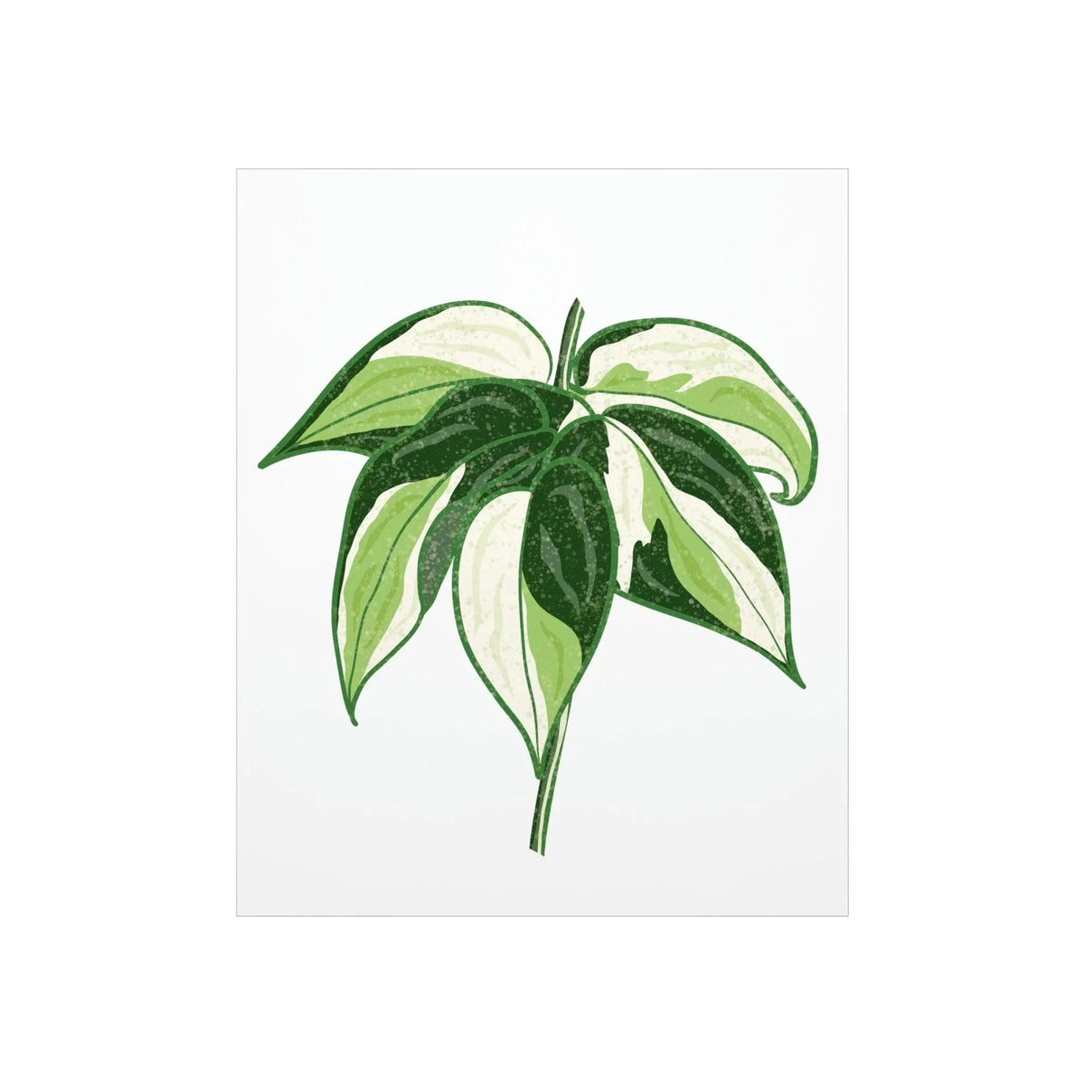 Philodendron Cream Splash Botanical Print – Unframed Wall Art, view 2