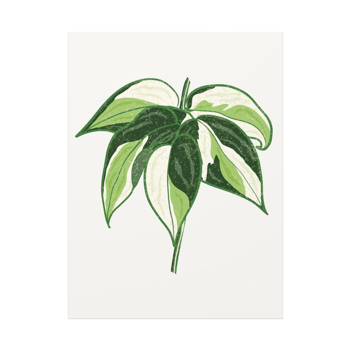 Philodendron Cream Splash Canvas Print – Botanical Wall Art, view 14