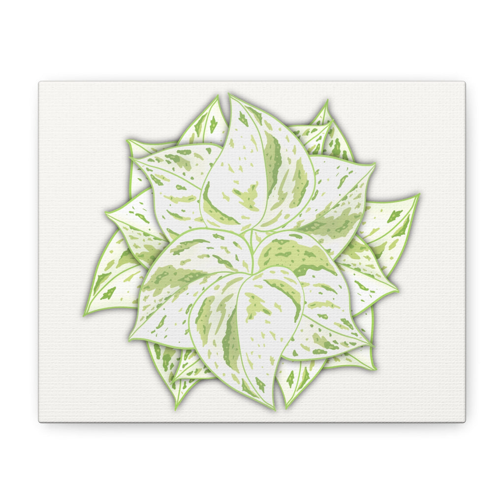 Snow Queen Pothos Canvas Print – Botanical Wall Art