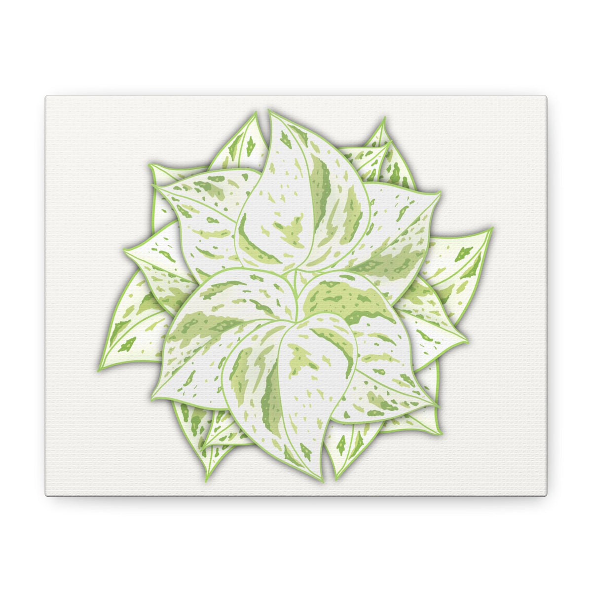 Snow Queen Pothos Canvas Print – Botanical Wall Art