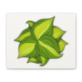 Philodendron Brasil Canvas Print – Botanical Wall Art