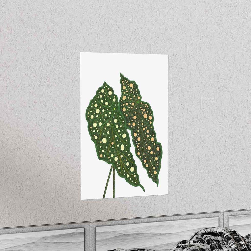 Begonia Maculata Botanical Print – Unframed Wall Art, view 6