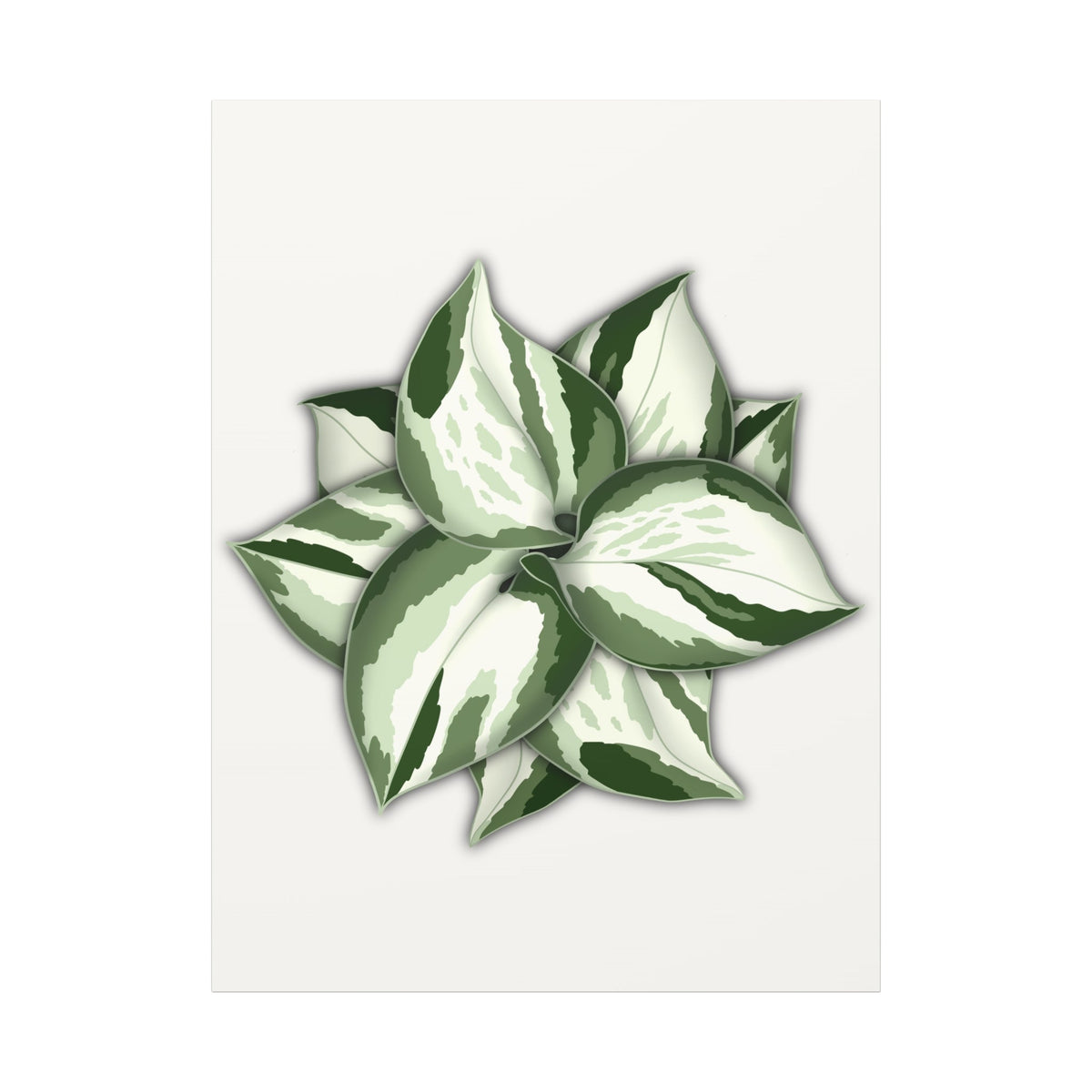 Manjula Pothos Canvas Print – Botanical Wall Art, view 14