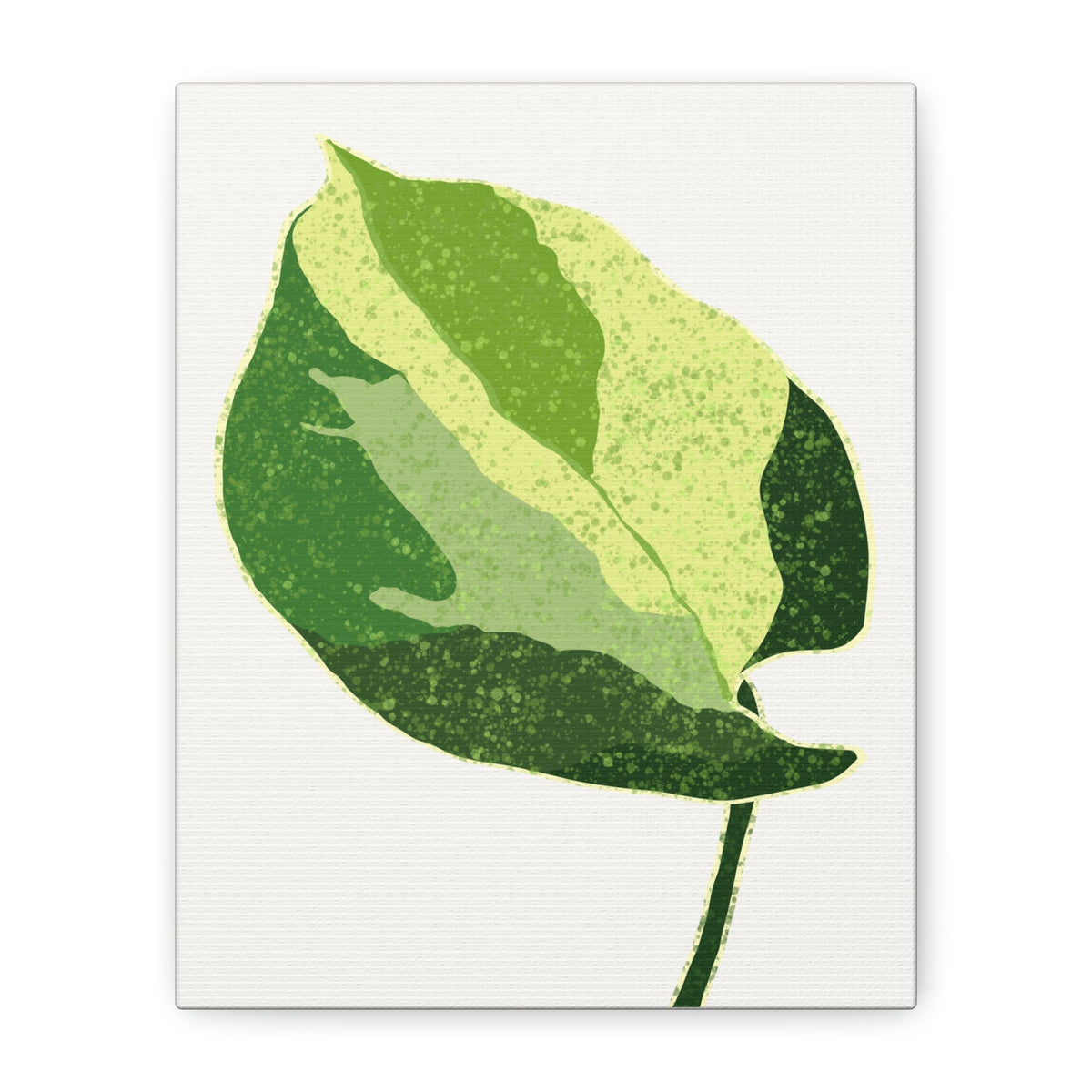 Manjula Pothos Illustrated Canvas Print – Botanical Wall Art, view 8