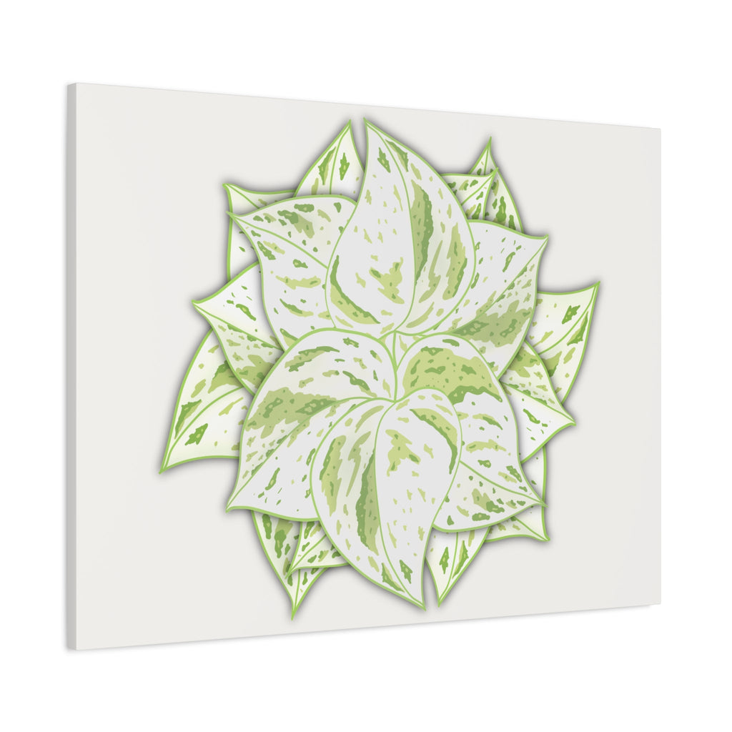 Snow Queen Pothos Canvas Print – Botanical Wall Art